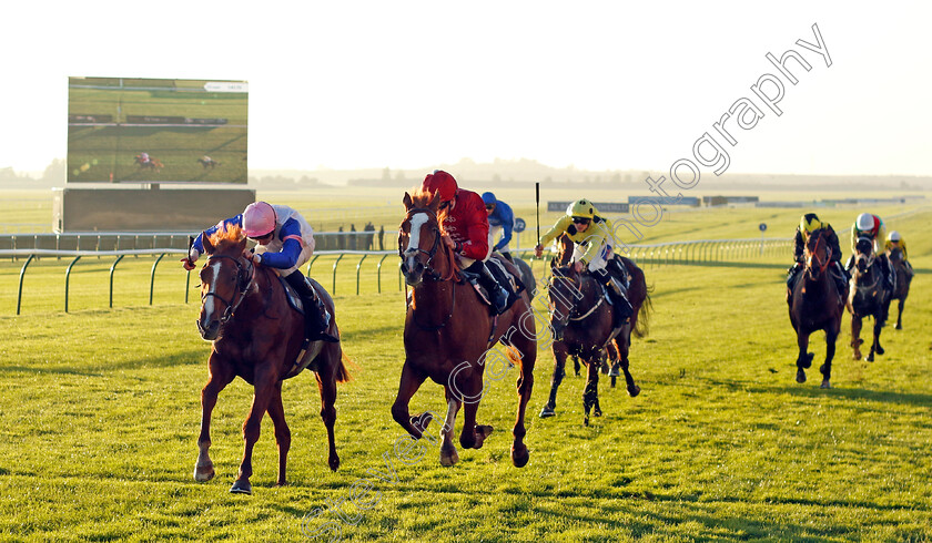 Feigning-Madness-0001 
 FEIGNING MADNESS (left, Hector Crouch) beats HARPER'S FERRY (centre) in The British Stallion Studs EBF Future Stayers Novice Stakes
Newmarket 25 Oct 2023 - Pic Steven Cargill / Racingfotos.com