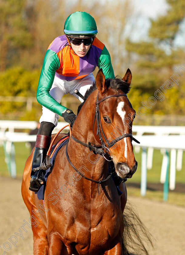 Reeves-0001 
 REEVES (Sean Davis) winner of The Bombardier Golden Beer Handicap
Lingfield 10 Jan 2020 - Pic Steven Cargill / Racingfotos.com