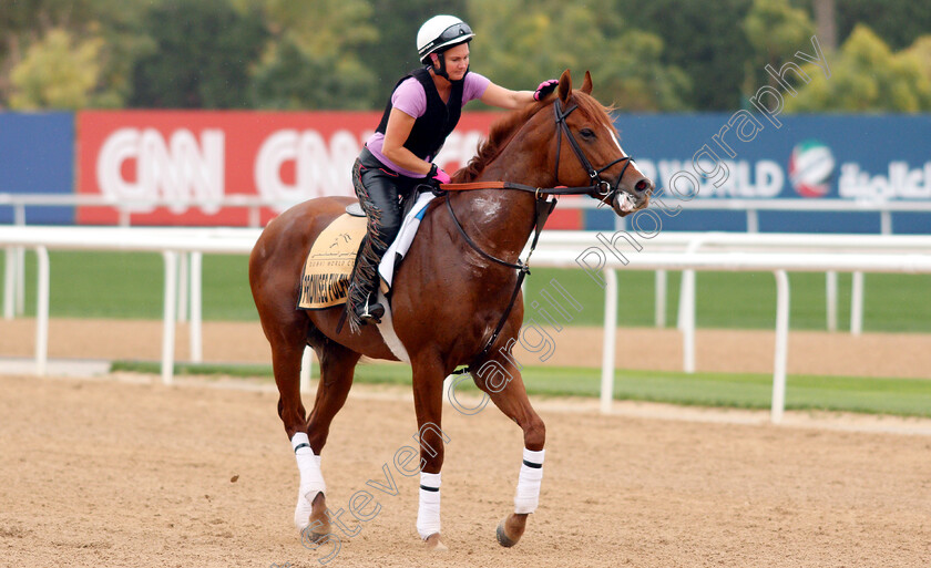 Promises-Fulfilled-0002 
 PROMISES FULFILLED training for the Dubai Golden Shaheen
Meydan 27 Mar 2019 - Pic Steven Cargill / Racingfotos.com