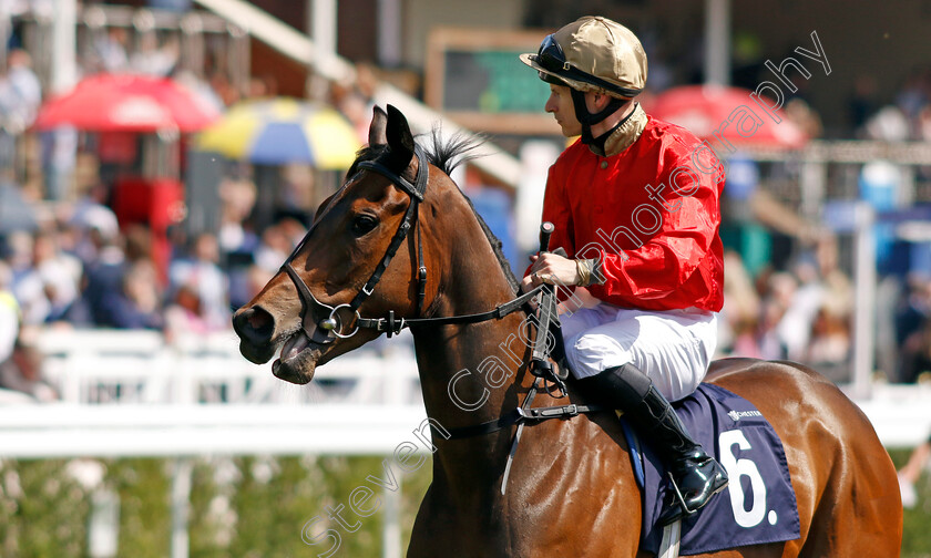 Gunfighter-0002 
 GUNFIGHTER (Richard Kingscote)
Chester 9 May 2024 - Pic Steven Cargill / Racingfotos.com