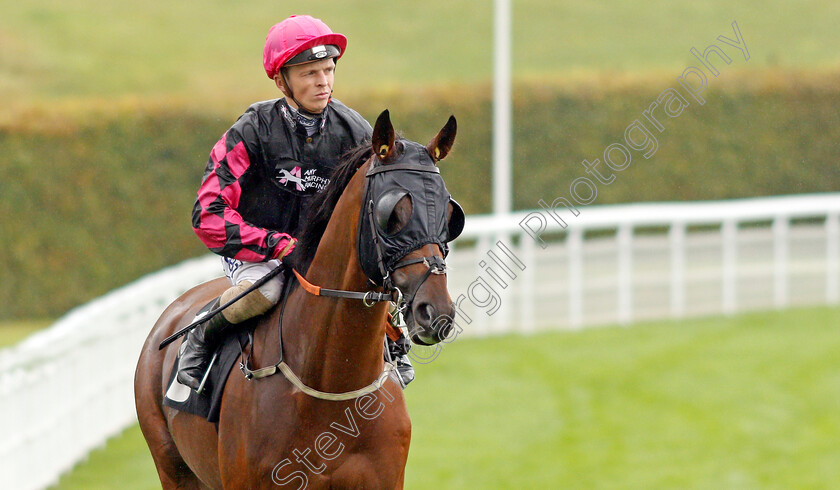 Private-Matter-0001 
 PRIVATE MATTER (David Probert)
Goodwood 25 Sep 2019 - Pic Steven Cargill / Racingfotos.com