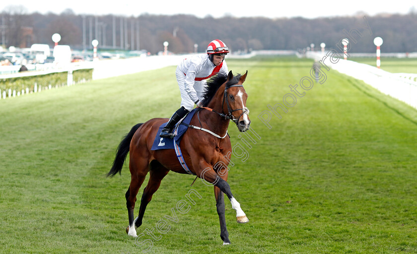 Mighty-River-0001 
 MIGHTY RIVER (Rossa Ryan)
Doncaster 2 Apr 2023 - Pic Steven Cargill / Racingfotos.com