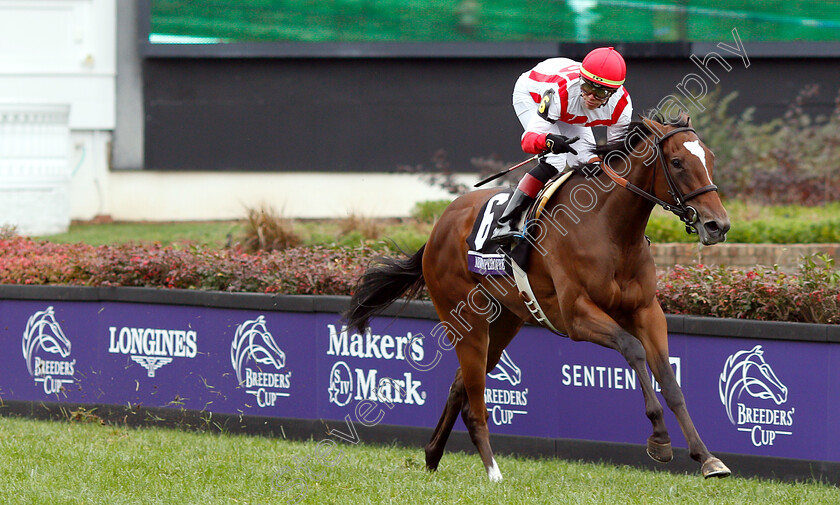 Newspaperofrecord-0006 
 NEWSPAPEROFRECORD (Irad Ortiz) wins The Breeders' Cup Juvenile Fillies Turf
Churchill Downs 2 Nov 2018 - Pic Steven Cargill / Racingfotos.com