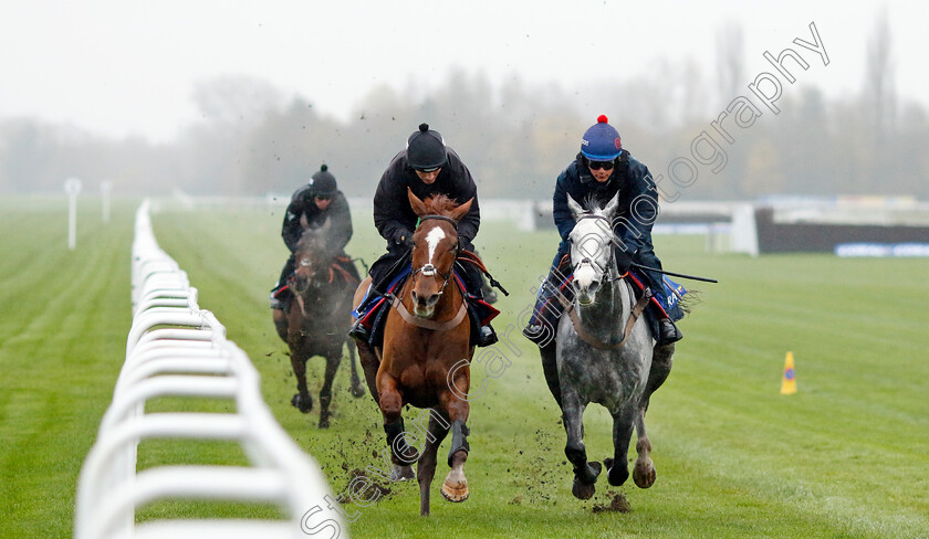 Caldwell-Potter-and-Captain-Teague-0002 
 CALDWELL POTTER (right) and CAPTAIN TEAGUE (left)
Coral Gold Cup gallops morning Newbury 19 Nov 20234 - Pic Steven Cargill / Racingfotos.com