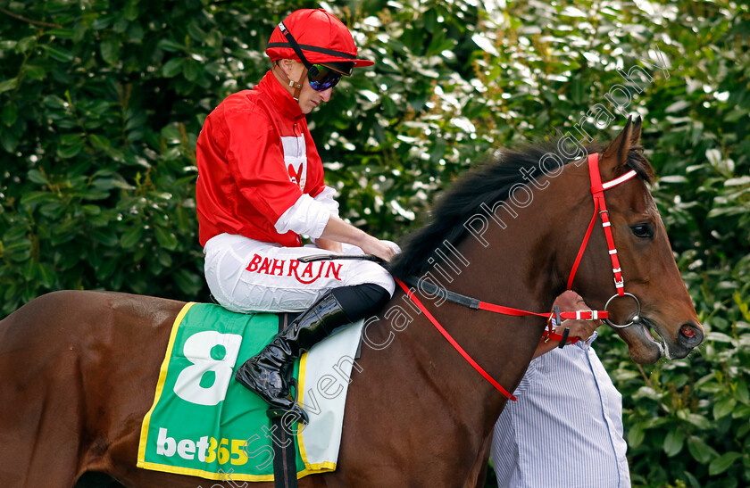 Rogue-Enforcer-0001 
 ROGUE ENFORCER (Tom Marquand)
Sandown 26 Apr 2024 - Pic Steven Cargill / Racingfotos.com