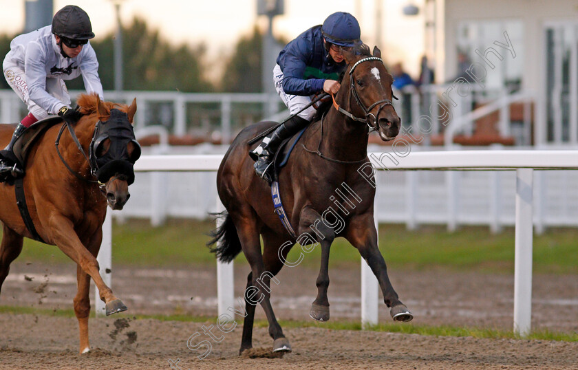 Capla-Knight-0006 
 CAPLA KNIGHT (Tom Marquand) wins The tote Placepot Your First Bet Claiming Stakes
Chelmsford 8 Oct 2020 - Pic Steven Cargill / Racingfotos.com