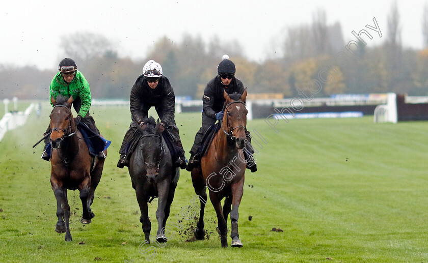 The-Jukebox-Man,-Fine-Casting-and-Henry s-Friend-0001 
 THE JUKEBOX MAN (right) FINE CASTING (centre) and HENRY'S FRIEND (left)
Coral Gold Cup gallops morning Newbury 19 Nov 20234 - Pic Steven Cargill / Racingfotos.com