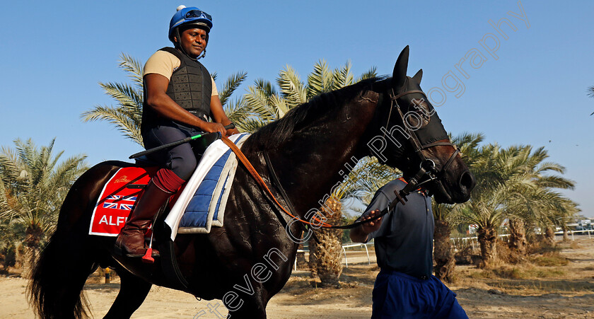 Alflaila-0009 
 ALFLAILA training for the Bahrain International Trophy
Kingdom of Bahrain 13 Nov 2024 - Pic Steven Cargill / Racingfotos.com