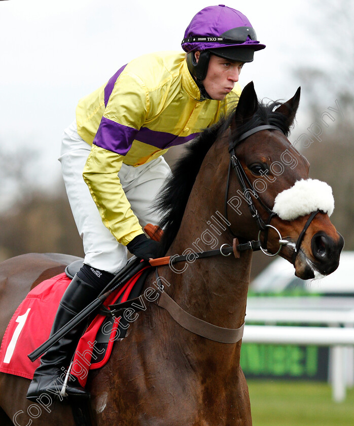 Amour-De-Nuit-0001 
 AMOUR DE NUIT (Lorcan Williams)
Kempton 12 Jan 2019 - Pic Steven Cargill / Racingfotos.com