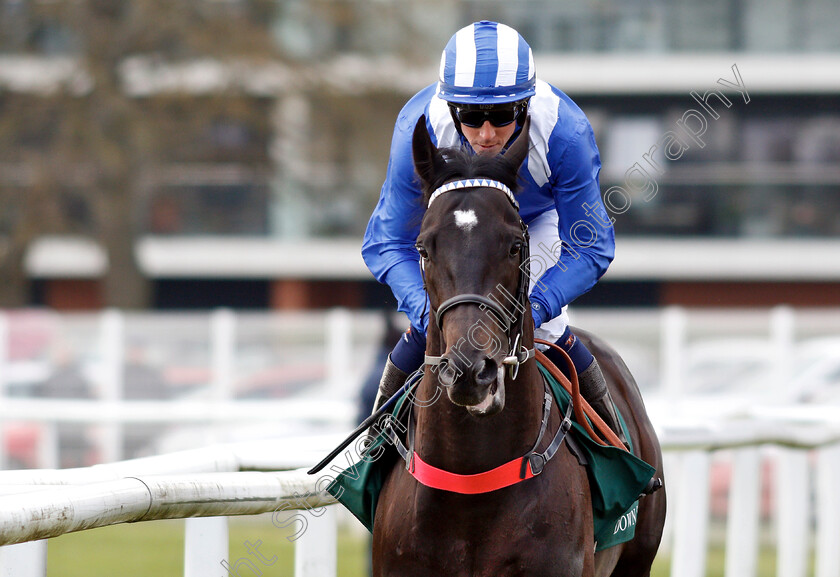 Mohaather-0001 
 MOHAATHER (Jim Crowley) winner of The Watership Down Stud Greenham Stakes
Newbury 13 Apr 2019 - Pic Steven Cargill / Racingfotos.com