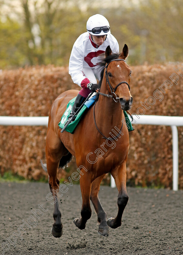 Mamdoh-0003 
 MAMDOH (Oisin Murphy)
Kempton 3 Apr 2024 - Pic Steven Cargill / Racingfotos.com