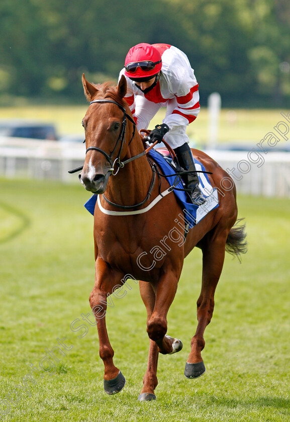 Showalong-0002 
 SHOWALONG (David Allan)
York 12 Jun 2021 - Pic Steven Cargill / Racingfotos.com