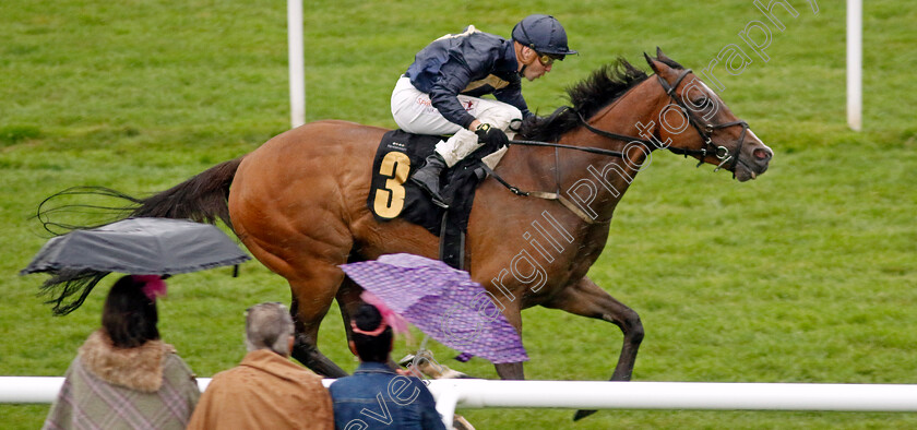 Good-Earth-0003 
 GOOD EARTH (Kevin Stott) wins The cavani.co.uk The Sartorial Sprint Handicap
Newmarket 14 Jul 2023 - Pic Steven Cargill / Racingfotos.com