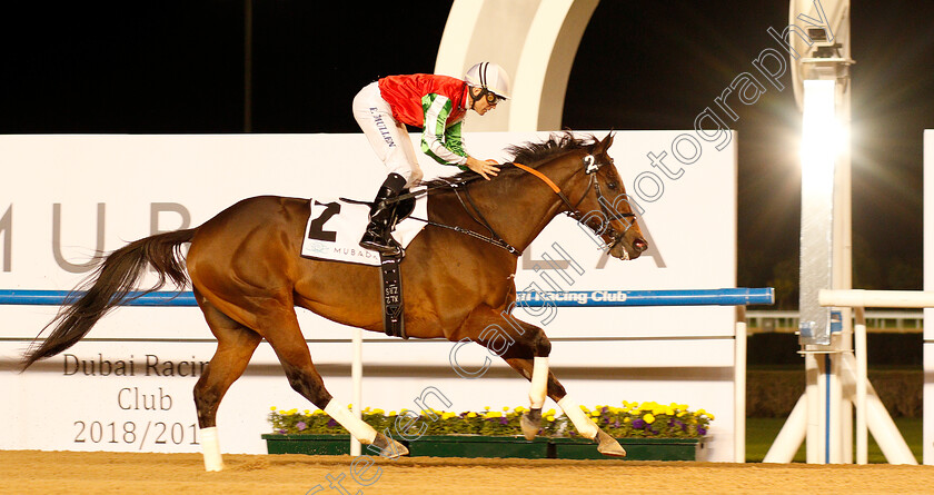 North-America-0007 
 NORTH AMERICA (Richard Mullen) wins The Al Maktoum Challenge (Round 1)
Meydan 10 Jan 2019 - Pic Steven Cargill / Racingfotos.com