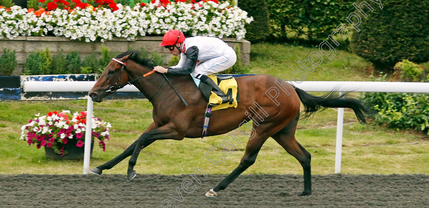 Gutsy-Girl-0001 
 GUTSY GIRL (Kieran Shoemark) wins The Unibet Zero% Mission Handicap
Kempton 16 Jul 2024 - Pic Steven Cargill / Racingfotos.com