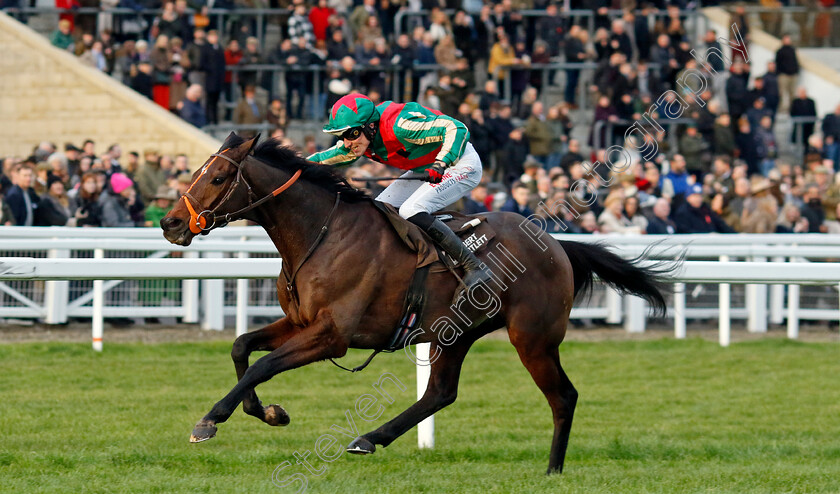 Jet-Blue-0004 
 JET BLUE (James Reveley) wins The Albert Bartlett Novices Hurdle
Cheltenham 14 Dec 2024 - Pic Steven Cargill / Racingfotos.com