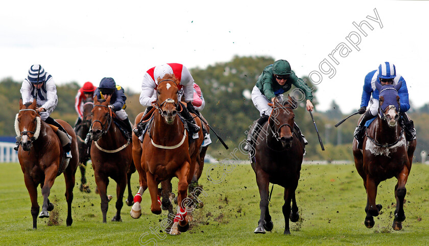 Just-Glamorous-0001 
 JUST GLAMOROUS (3rd left, Oisin Murphy) beats MIRZA (left) SIR ROBERT CHEVAL (2nd right) and WAADY (right) in The Hope And Homes For Children Rous Stakes Ascot 7 Oct 2017 - Pic Steven Cargill / Racingfotos.com