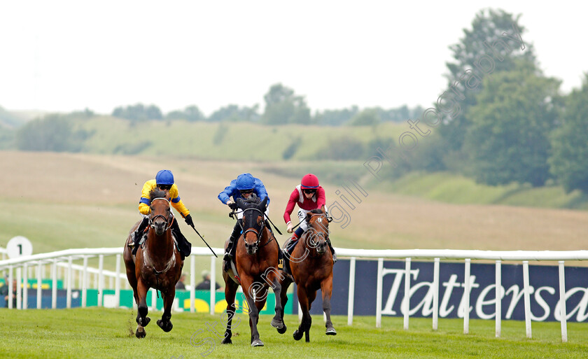 Noble-Truth-0002 
 NOBLE TRUTH (James Doyle) wins The Weatherbys Bloodstock Pro British EBF Maiden Stakes
Newmarket 9 Jul 2021 - Pic Steven Cargill / Racingfotos.com