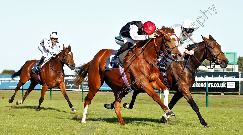 Frankellina-0002 
 FRANKELLINA (left, Harry Bentley) beats OUSSEL FALLS (right) in The British Stallion Studs EBF Fillies Novice Stakes Div1
Yarmouth 23 Oct 2018 - Pic Steven Cargill / Racingfotos.com