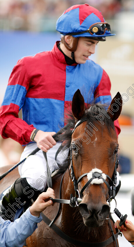 Powerful-Breeze-0008 
 POWERFUL BREEZE (James Doyle) after The William Hill May Hill Stakes
Domcaster 12 Sep 2019 - Pic Steven Cargill / Racingfotos.com