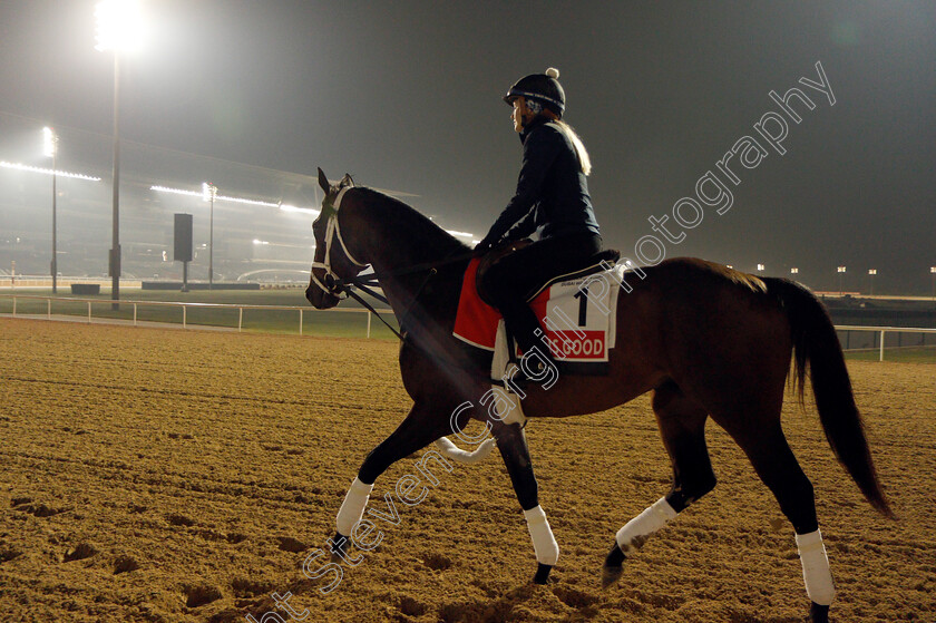 Life-Is-Good-0009 
 LIFE IS GOOD training for the Dubai World Cup
Meydan, Dubai, 22 Mar 2022 - Pic Steven Cargill / Racingfotos.com