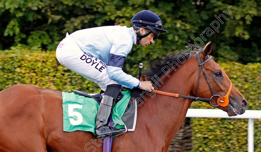 Nugget-0001 
 NUGGET (Sean Levey)
Kempton 9 Oct 2019 - Pic Steven Cargill / Racingfotos.com