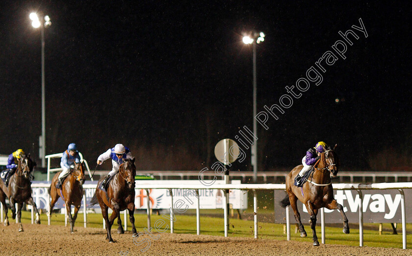 Rainbow-Dreamer-0005 
 RAINBOW DREAMER (Hollie Doyle) wins The Betway Conditions Stakes
Wolverhampton 13 Jan 2020 - Pic Steven Cargill / Racingfotos.com