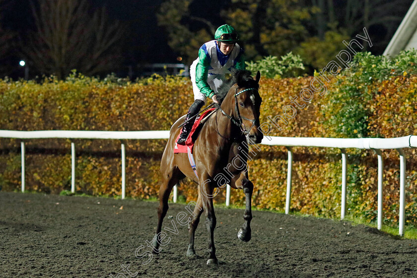 Brewing-0005 
 BREWING (Adam Farragher) winner of The Unibet Extra Place Offers Every Day Novice Stakes
Kempton 16 Nov 2022 - Pic Steven Cargill / Racingfotos.com