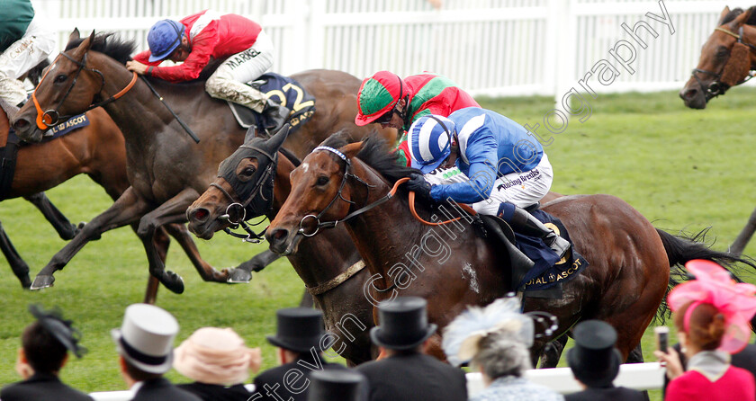 Afaak-0003 
 AFAAK (Jim Crowley) wins The Royal Hunt Cup
Royal Ascot 19 Jun 2019 - Pic Steven Cargill / Racingfotos.com