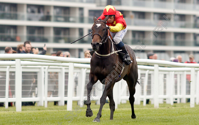 Sapa-Inca-0003 
 SAPA INCA (Silvestre De Sousa) wins The Insure Wiser Handicap
Newbury 13 Jun 2019 - Pic Steven Cargill / Racingfotos.com