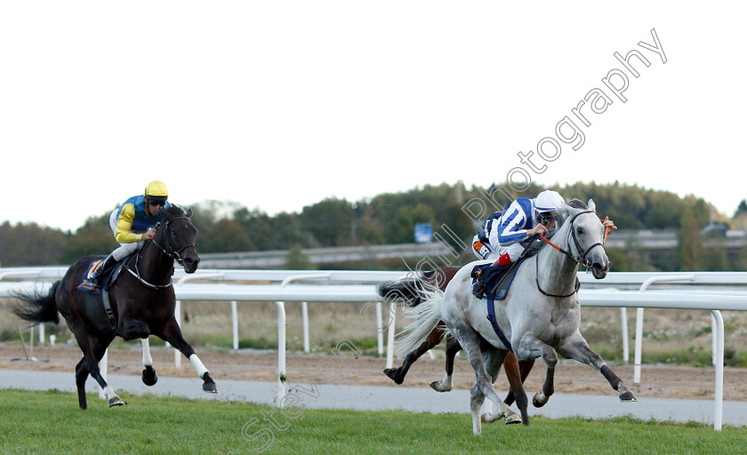 Thundering-Blue-0004 
 THUNDERING BLUE (Fran Berry) wins The Stockholm Cup International
Bro Park, Sweden 23 Sep 2018 - Pic Steven Cargill / Racingfotos.com