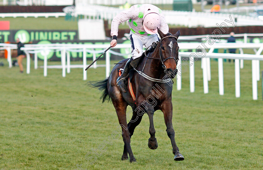 Benie-Des-Dieux-0002 
 BENIE DES DIEUX (Ruby Walsh) wins The OLBG Mares Hurdle Cheltenham 13 Mar 2018 - Pic Steven Cargill / Racingfotos.com