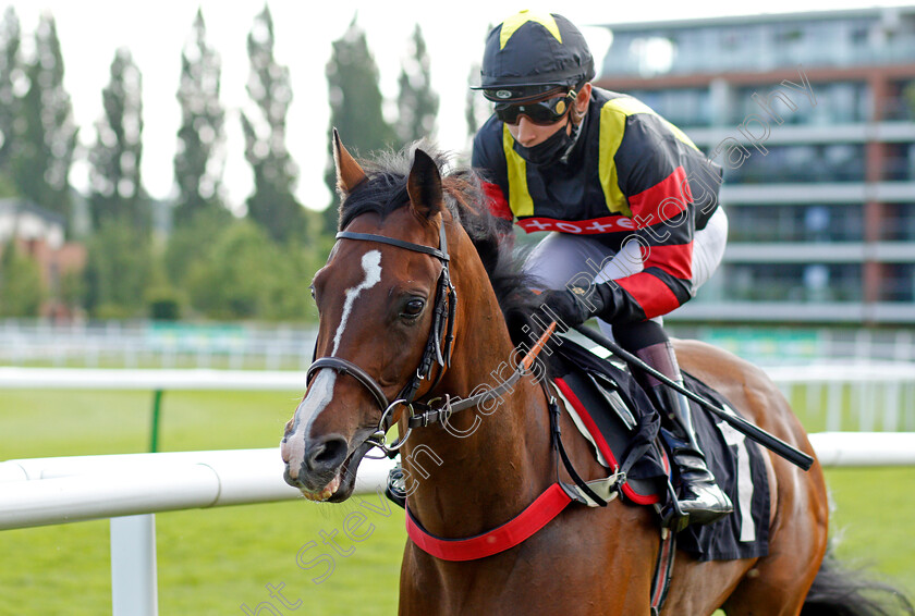 Global-Esteem-0001 
 GLOBAL ESTEEM (Mohammed Tabti)
Newbury 16 Jul 2021 - Pic Steven Cargill / Racingfotos.com