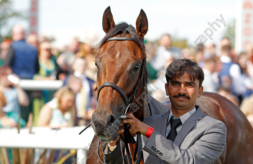 Bayside-Boy-0013 
 BAYSIDE BOY winner of The Champagne Stakes
Doncaster 11 Sep 2021 - Pic Steven Cargill / Racingfotos.com