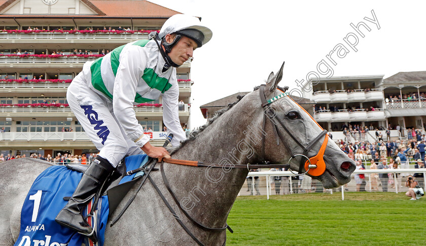 Alpinista-0014 
 ALPINISTA (Luke Morris) winner of The Darley Yorkshire Oaks
York 18 Aug 2022 - Pic Steven Cargill / Racingfotos.com