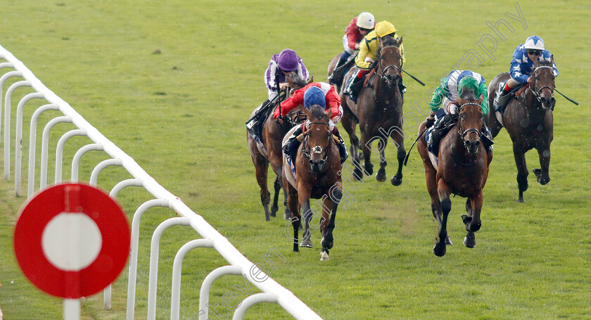 Veracious-0005 
 VERACIOUS (left, Oisin Murphy) beats ONE MASTER (right) in The Tattersalls Falmouth Stakes
Newmarket 12 Jul 2019 - Pic Steven Cargill / Racingfotos.com