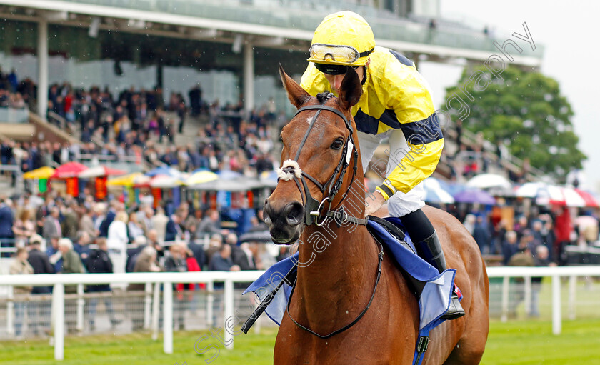 Zabeel-Champion 
 ZABEEL CHAMPION (Kieran Shoemark)
York 11 May 2022 - Pic Steven Cargill / Racingfotos.com