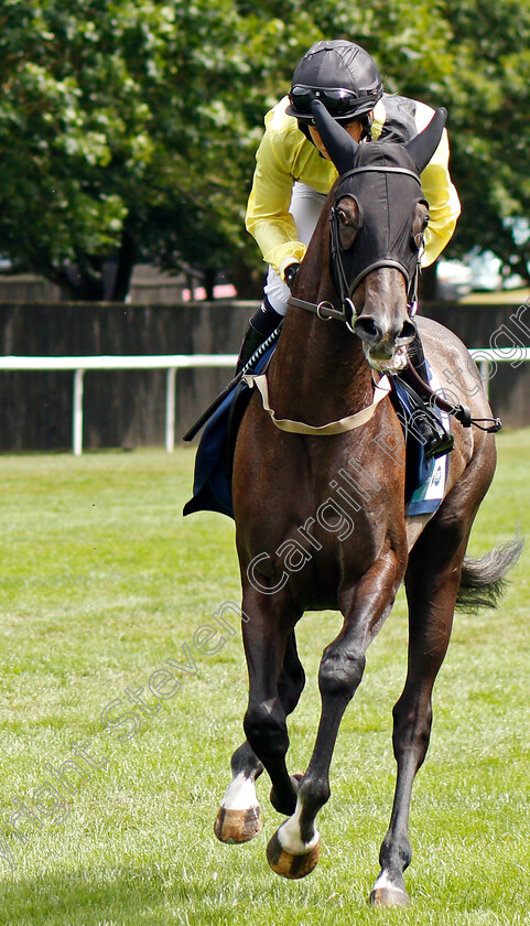 Whistledown-0001 
 WHISTLEDOWN (Rose Dawes)
Newmarket 31 Jul 2021 - Pic Steven Cargill / Racingfotos.com