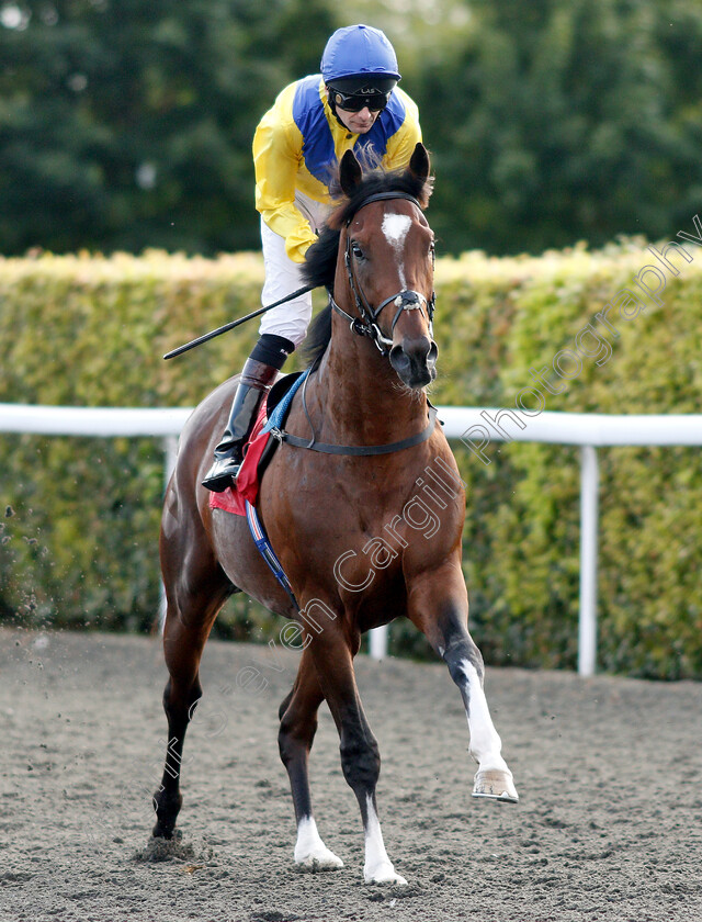 Dubai-Warrior-0001 
 DUBAI WARRIOR (Robert Havlin) winner of The Matchbook Betting Exchange Novice Stakes
Kempton 7 Aug 2019 - Pic Steven Cargill / Racingfotos.com