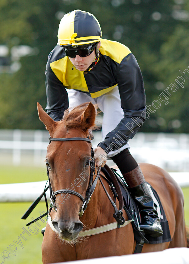 Gleeds-Girl-0001 
 GLEEDS GIRL (Callum Shepherd)
Newbury 6 Aug 2019 - Pic Steven Cargill / Racingfotos.com