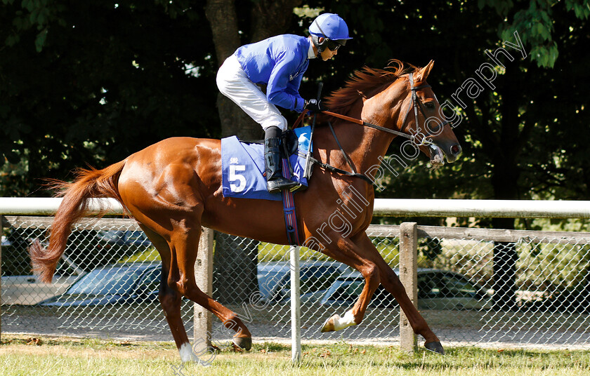 Recordman-0001 
 RECORDMAN (Graham Lee) 
Pontefract 10 Jul 2018 - Pic Steven Cargill / Racingfotos.com