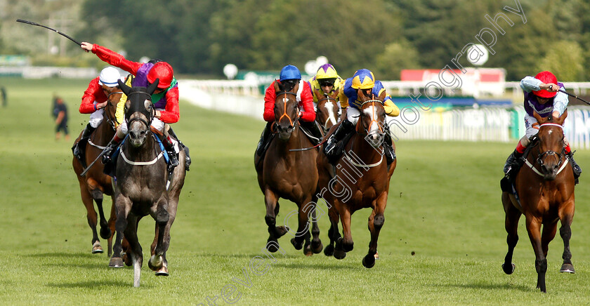 Sufficient-0001 
 SUFFICIENT (left, Jimmy Quinn) beats PURE SHORES (right) in The British EBF Premier Fillies Handicap
Newbury 20 Jul 2019 - Pic Steven Cargill / Racingfotos.com