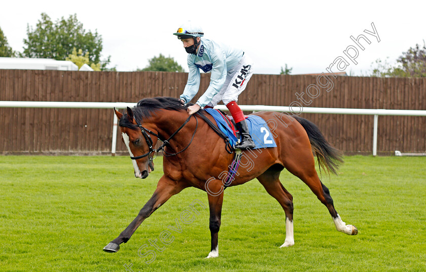 Burning-Bush-0001 
 BURNING BUSH (David Egan)
Leicester 15 Jul 2021 - Pic Steven Cargill / Racingfotos.com