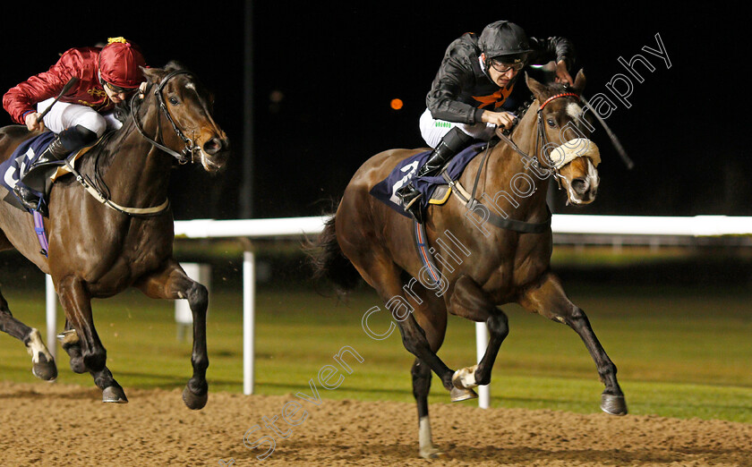 I-Love-You-Baby-0004 
 I LOVE YOU BABY (Luke Morris) beats QATAR QUEEN (left) in The Ladbrokes Fillies Novice Stakes
Wolverhampton 19 Dec 2019 - Pic Steven Cargill / Racingfotos.com