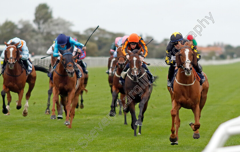 Tarbaan-0004 
 TARBAAN (Kevin Stott) wins The EAAA East Coast Air Ambulance Handicap
Yarmouth 19 Sep 2023 - Pic Steven Cargill / Racingfotos.com