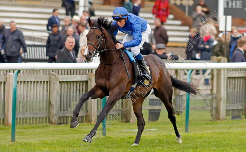 Tribal-Star-0001 
 TRIBAL STAR (William Buick)
Newmarket 25 Oct 2023 - Pic Steven Cargill / Racingfotos.com