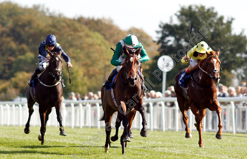 Kaloor-0002 
 KALOOR (Jim Crowley) wins The PKF Francis Clark EBF Novice Stakes Div1
Salisbury 3 Oct 2018 - Pic Steven Cargill / Racingfotos.com