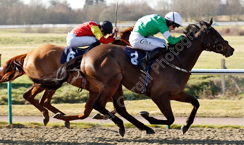 Hackbridge-0001 
 HACKBRIDGE (Paddy Bradley)
Lingfield 23 Feb 2019 - Pic Steven Cargill / Racingfotos.com