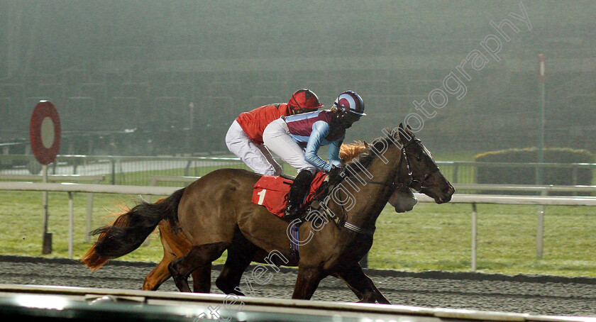 Nortonthorpe-Boy-0004 
 NORTONTHORPE BOY (Grace McEntee) wins The Unibet Extra Place Offers Every Day Handicap
Kempton 13 Jan 2021 - Pic Steven Cargill / Racingfotos.com