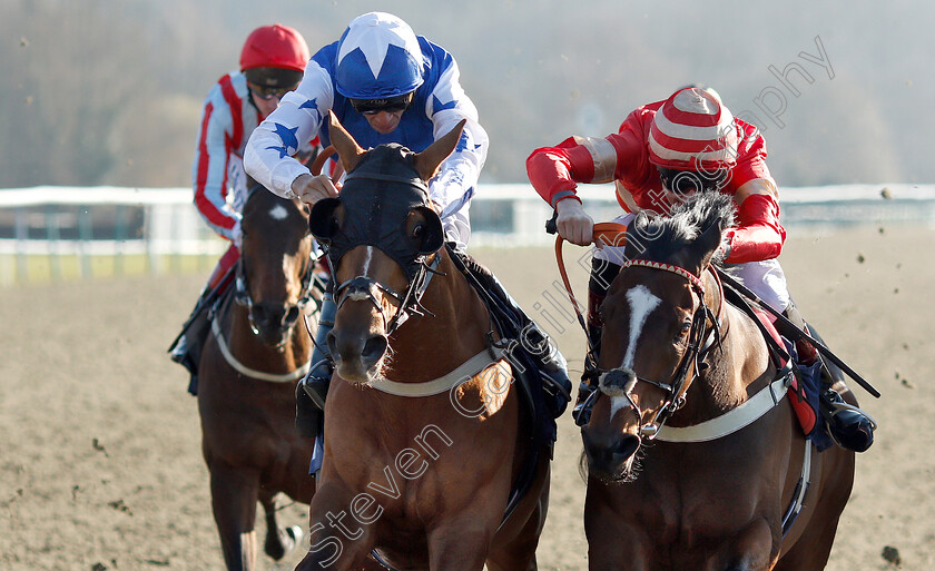 Exceeding-Power-0009 
 EXCEEDING POWER (right, George Wood) beats PETITE JACK (left) in The Betway Casino Handicap
Lingfield 23 Feb 2019 - Pic Steven Cargill / Racingfotos.com